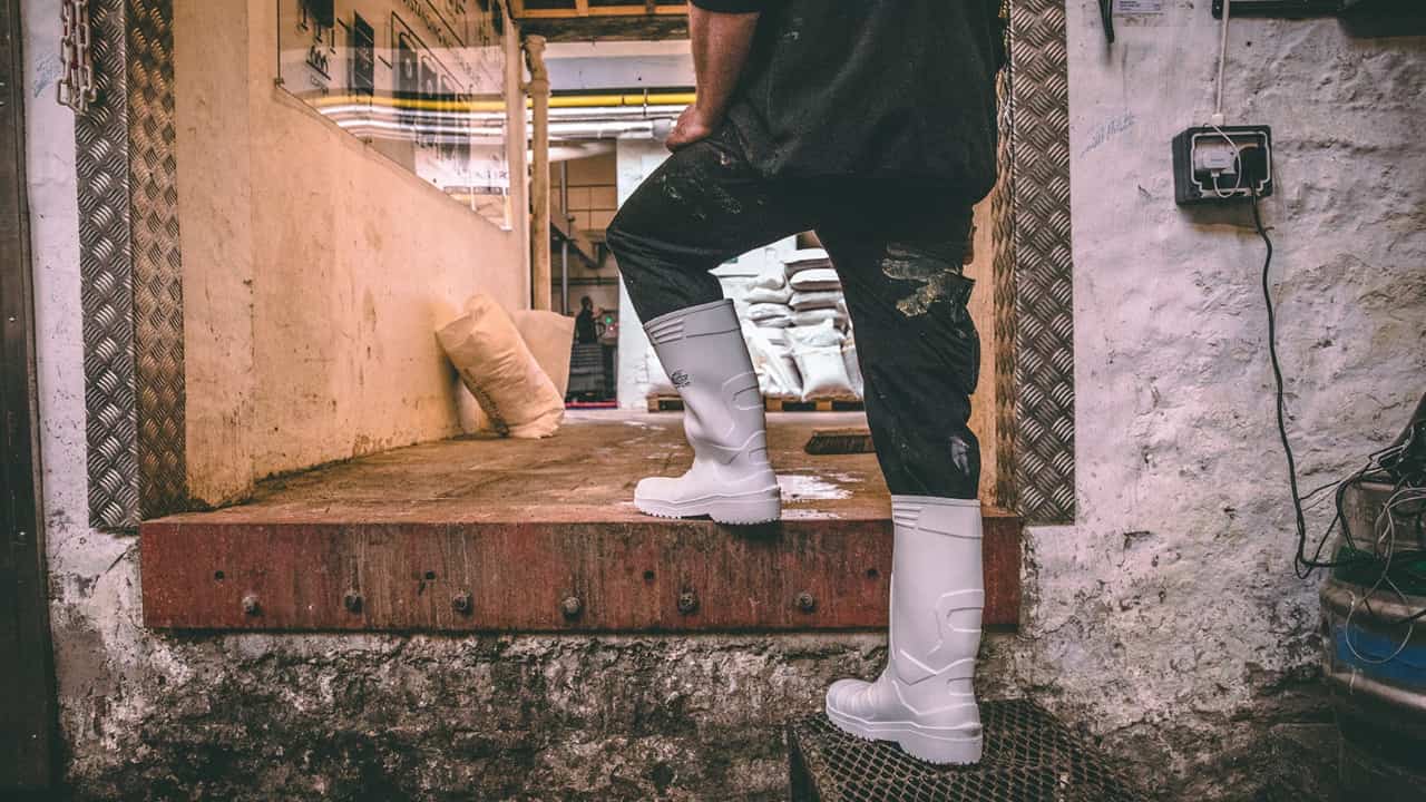 Modern Trendy Shoe -Modern Trendy Shoe white wellington boots